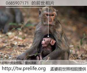 0685907171 的前世相片