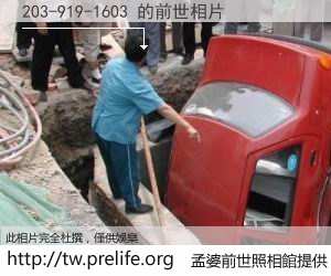 203-919-1603 的前世相片