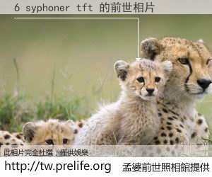 6 syphoner tft 的前世相片