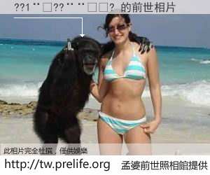 ??1��??����? 的前世相片