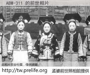 ABW-311 的前世相片
