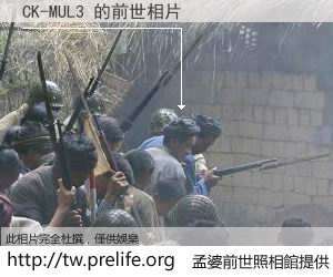 CK-MUL3 的前世相片