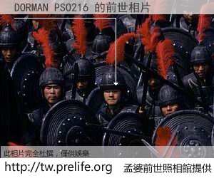 DORMAN PSO216 的前世相片