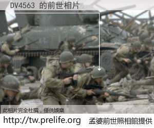 DV4563 的前世相片