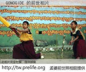 GONOGIDE 的前世相片