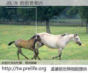 JOLIN 的前世相片