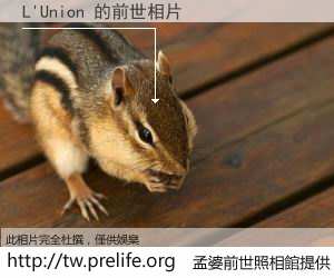 L'Union 的前世相片