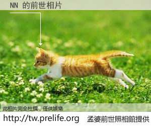 NN 的前世相片