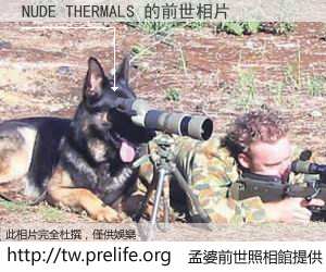NUDE THERMALS 的前世相片