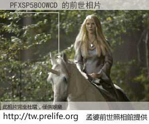 PFXSP5800WCD 的前世相片