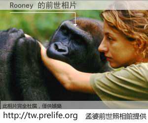 Rooney 的前世相片