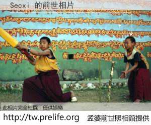 Secxi 的前世相片