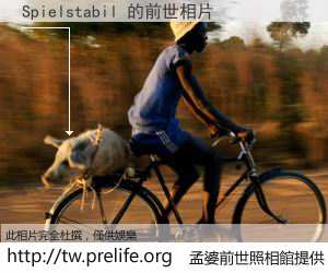 Spielstabil 的前世相片