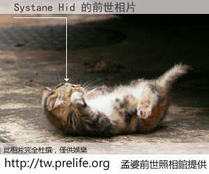 Systane Hid 的前世相片