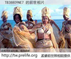 TB38809NE7 的前世相片