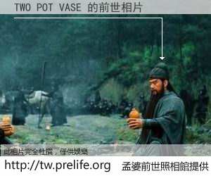 TWO POT VASE 的前世相片