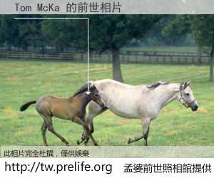 Tom McKa 的前世相片