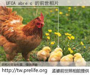 UFCA abre c 的前世相片