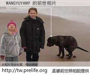 WANGYUYAN9 的前世相片