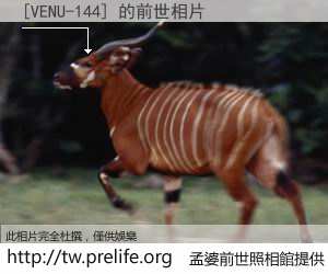 [VENU-144] 的前世相片