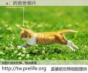 a; 的前世相片