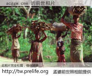 acggw.cme 的前世相片
