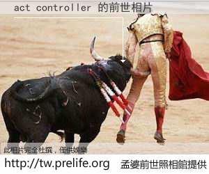 act controller 的前世相片