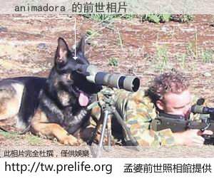 animadora 的前世相片