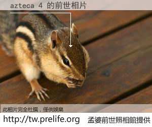 azteca 4 的前世相片