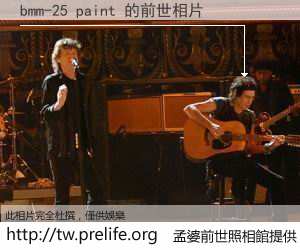 bmm-25 paint 的前世相片