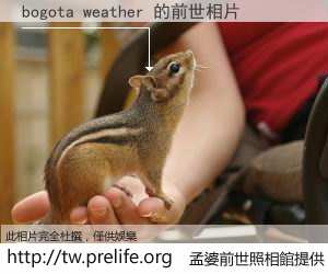 bogota weather 的前世相片