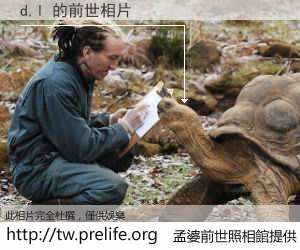 d,l 的前世相片