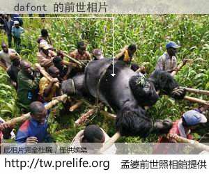 dafont 的前世相片