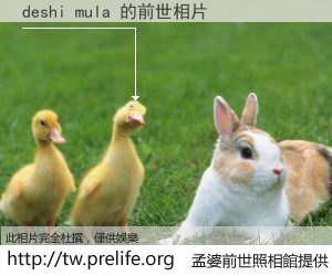 deshi mula 的前世相片