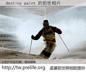 destiny paint 的前世相片