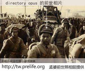 directory opus 的前世相片