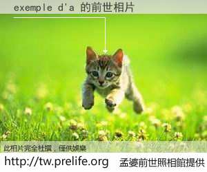 exemple d'a 的前世相片