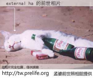 external ha 的前世相片