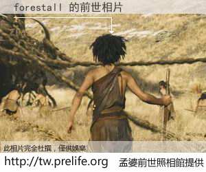 forestall 的前世相片