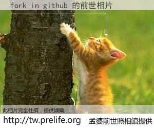 fork in github 的前世相片