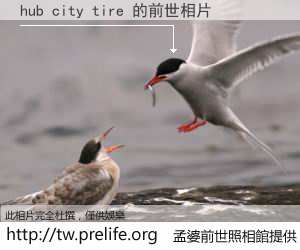 hub city tire 的前世相片