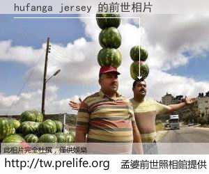 hufanga jersey 的前世相片
