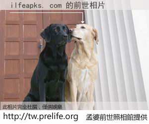 ilfeapks. com 的前世相片