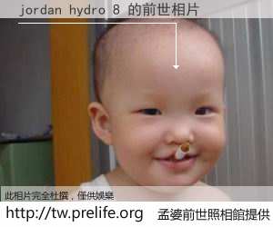 jordan hydro 8 的前世相片