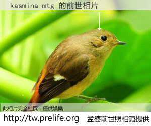 kasmina mtg 的前世相片