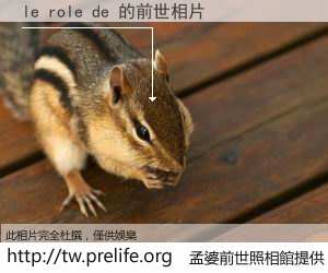 le role de 的前世相片