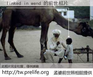 linked in wend 的前世相片