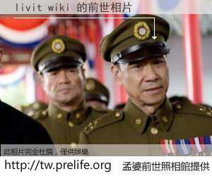 livit wiki 的前世相片
