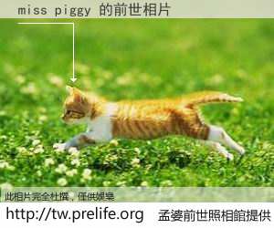 miss piggy 的前世相片