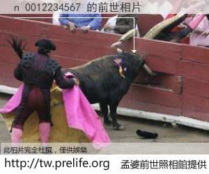 n 0012234567 的前世相片